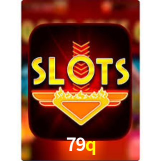 Premium Interface 79q